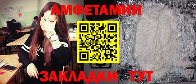 кокс Кингисепп