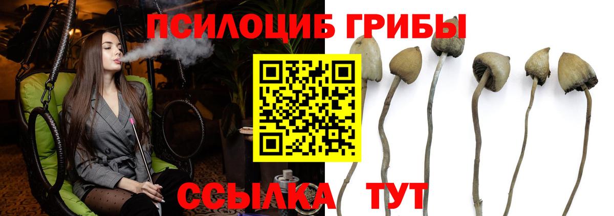 Котовск  Псилоцибиновые грибы мухоморы  Вход с VPN 